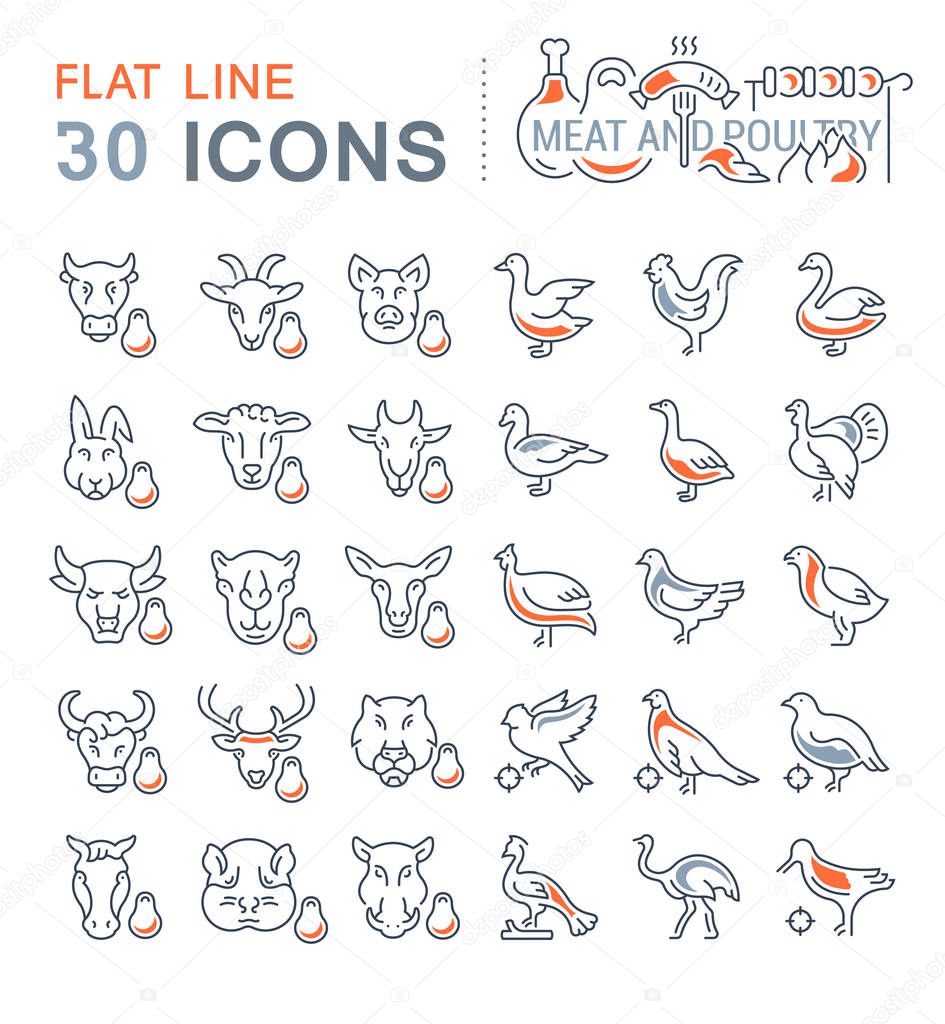 Set of vector line icons, sign and symbols with flat elements of meat and poultry for modern concepts, web and apps. Collection of infographics logos and pictograms.