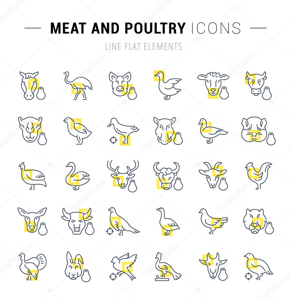 Set of vector line icons and signs with yellow squares of meat and poultry for excellent concepts. Collection of infographics logos and pictograms.