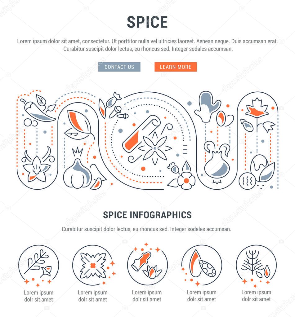 Website Banner and Landing Page of Spice.