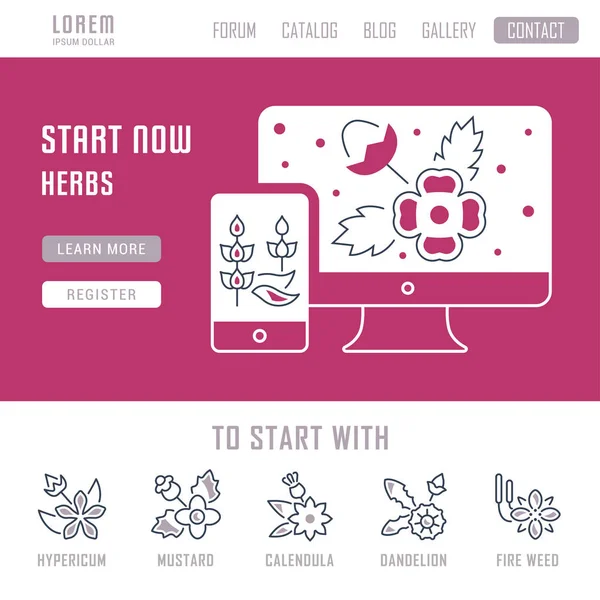 Site Banner and Landing Page of Herbs . —  Vetores de Stock