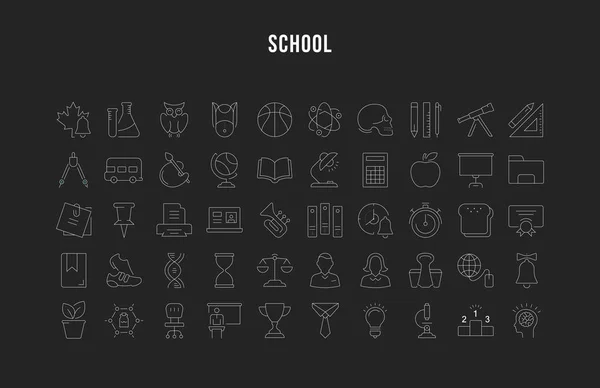 Set Vector Flat Line pictogrammen School — Stockvector