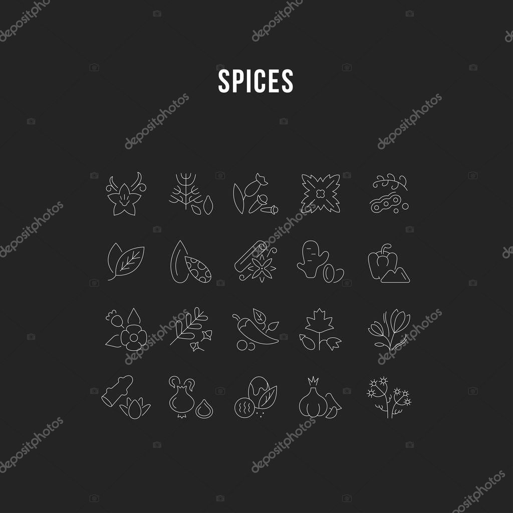 Set of vector line icons, sign and symbols of spices for modern concepts, web and apps. Collection of infographics elements, logos and pictograms.