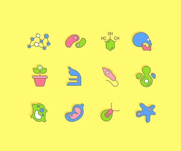Set of Simple line Icons of Biology — 스톡 벡터