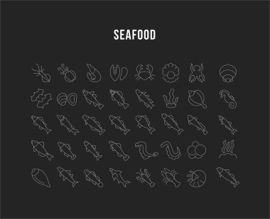 Deniz ürünleri vektör hat Icons set