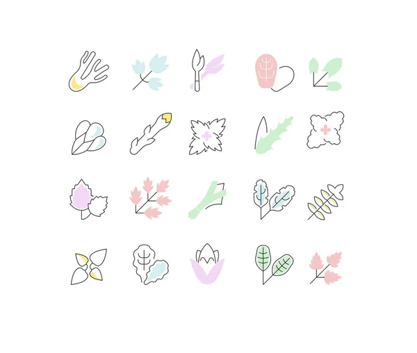 Set de iconos de la línea vectorial de vegetación . — Vector de stock
