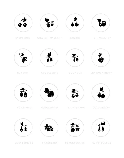 Collection Simple Icons Berries White Background Names Modern Black White — Stock Vector