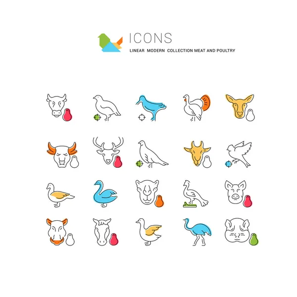 Set Vector Line Icons Sign Symbols Meat Poultry Modern Concepts — Stock Vector