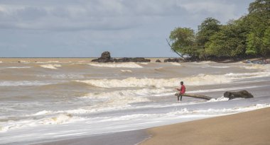 Afrikalı çocuk sahildeki bir palmiye ağacında oturur ve oynar. Fotoğraf: Axim Gana Batı Afrika 2018 Kasım.