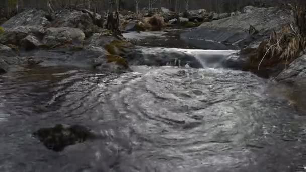 Water Een Rots Zweedse Vallei Het Voorjaar — Stockvideo