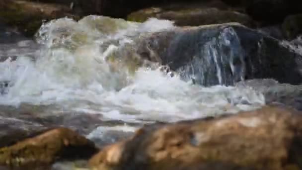 Eau courante sur un rocher dans la rivière de source suédoise 