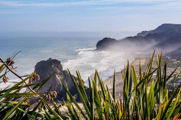 Смотреть на Piha утром — стоковое фото