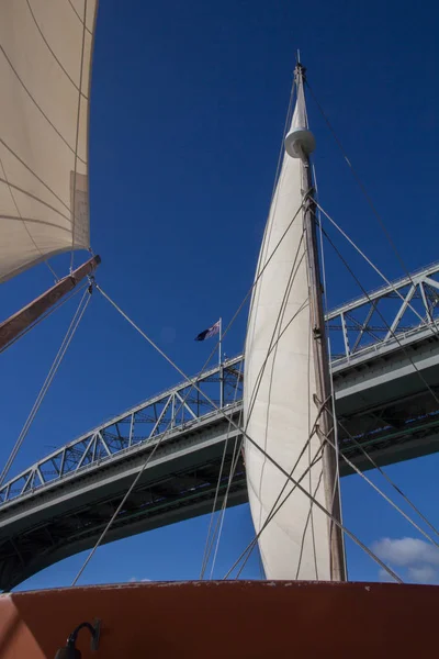 Auckland Harbour Köprüsü'nün altında yelken — Stok fotoğraf