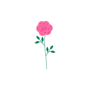 Bu pembe bir gül çiçeği. 