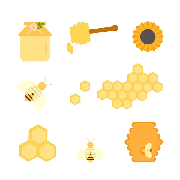 Set Honeycombs Honey Honeycombs — Stock Photo, Image