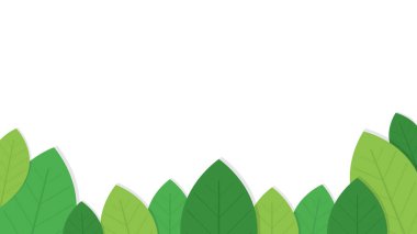 beyaz arkaplanda yeşil yaprak yaprakları