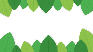 beyaz arkaplanda yeşil yapraklar