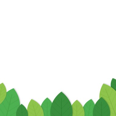 beyaz arkaplanda yeşil yapraklar