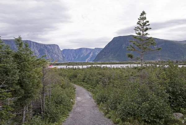 Ösvény vezet egy fjord — Stock Fotó