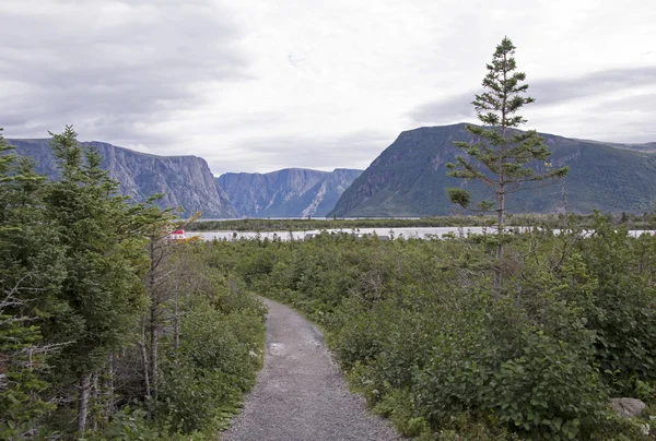 フィヨルドにつながる道 — ストック写真