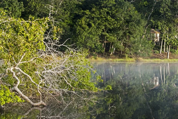 Amanecer con aire brumoso sobre laguna — Foto de Stock