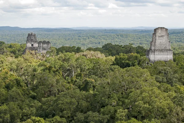 Pirâmides maias acima do dossel da selva — Fotografia de Stock