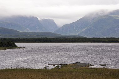 Bulutlar dağlarda Newfoundland