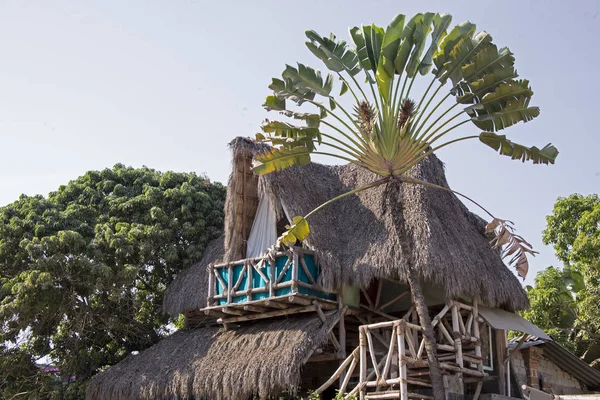 Tropikal konut PALAPA tarz