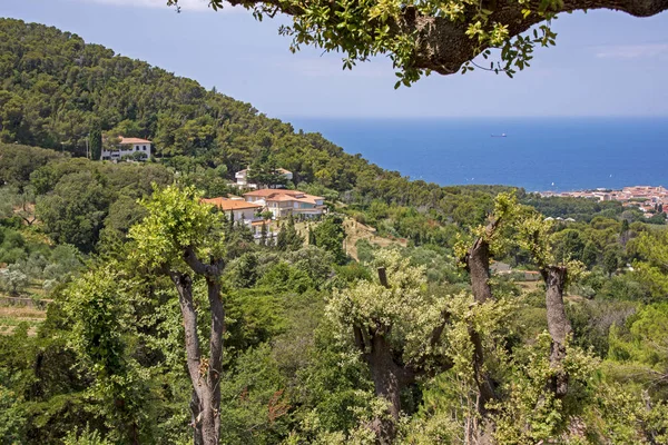 Hügel mit Meerblick in der Toskana — Stockfoto