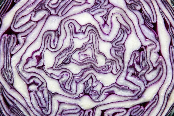 Abstract background from a cut of cauliflower, in white and purple tones — Stock Photo, Image