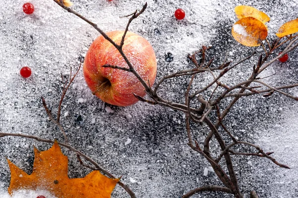 Striped apples sprinkled with powdered sugar. The dish simulates — Stock Photo, Image