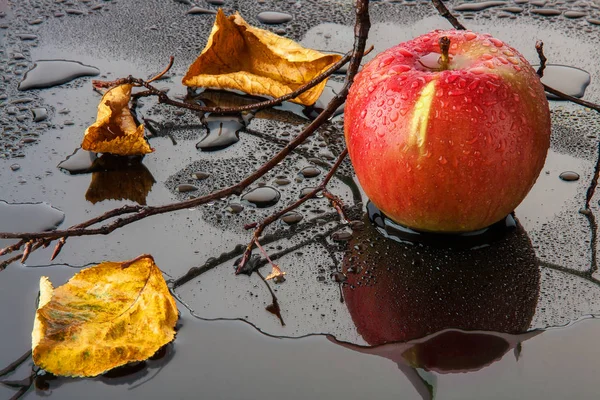 Listrado vermelho maçã com folhas de outono amarelas e um ramo na água — Fotografia de Stock