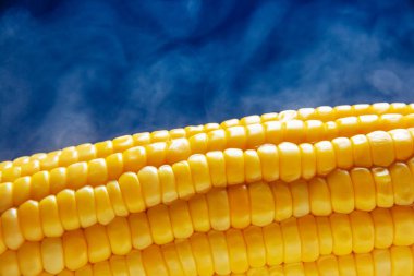 Bir parça tereyağlı haşlanmış mısır, buhar klüplerinde.