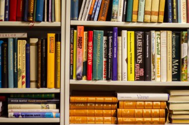 Kitaplıkta ya da kütüphanede bir sürü farklı kitap var.