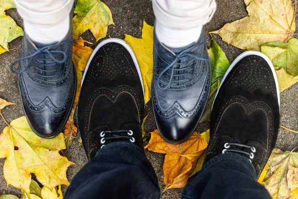 Woman's and men's stylish Oxford shoes from real leather and suede