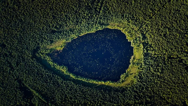 Foto Del Lago Forestal Forma Gotas Tomado Cuadrilátero Creado Por — Foto de Stock