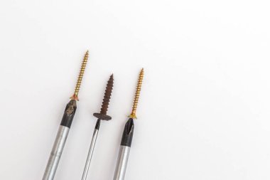 Beyaz arka planda vidaları olan tornavidalar