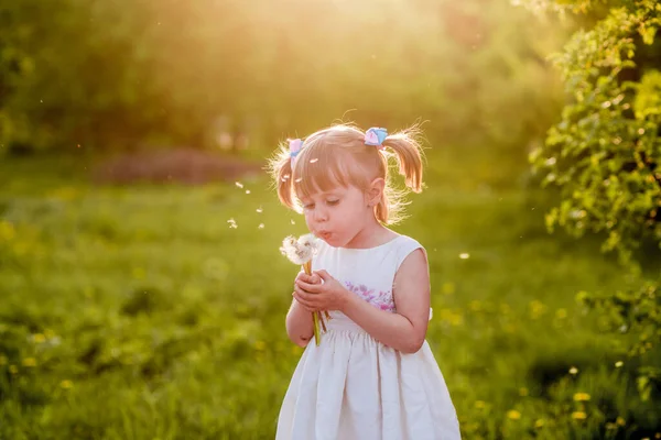 Um retrato de uma menina alegre posando no campo de dentes-de-leão . — Fotografia de Stock