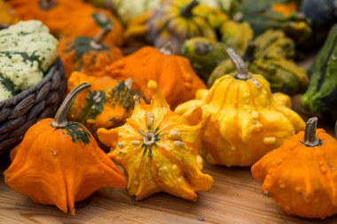 Masada balkabakları ile dekorasyonu kapat