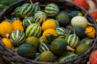 Masada balkabakları olan turuncu ve yeşil süslemeleri kapat.