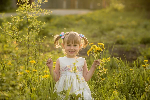 Um retrato de uma menina alegre posando no campo de dentes-de-leão . — Fotografia de Stock