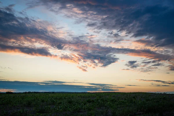 Nuvoloso tramonto sui campi estate sera foto — Foto Stock