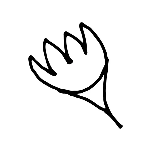 Handgezeichnete Doodle Blume Aktienvektorabbildung — Stockvektor