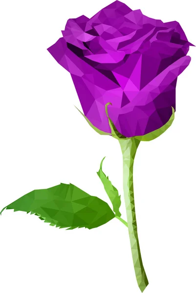Ніжна Фіолетова Троянда Стилі Низького Поліомієліту Ізольована Друкувати Футболці Светрі — стоковий вектор