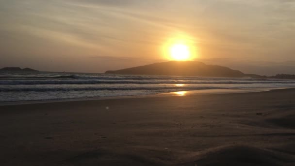 Beautiful Sunrise Seen Sand Tropical Beach Dance Seagulls Air Sun — Stock Video