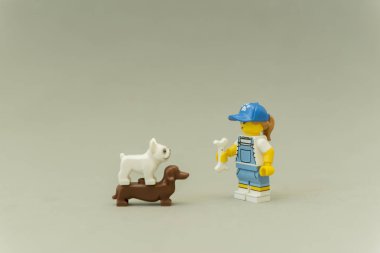 Standing tamer teaching her dogs with a bone in her hand