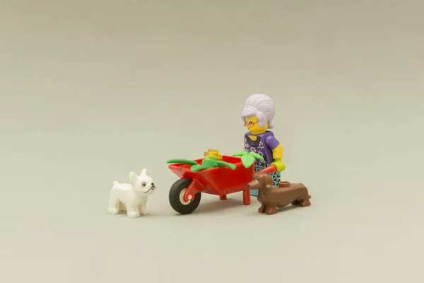 grandma riding wheelbarrow with plants next to her dogs