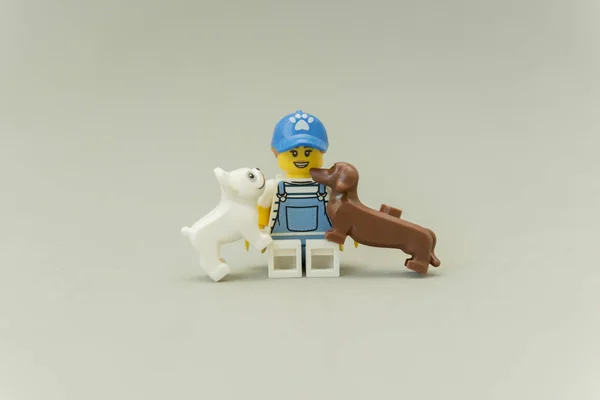 two dogs over his owner licking and having fun