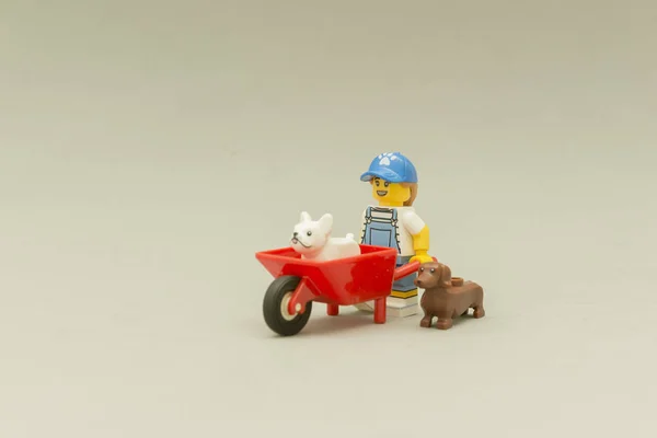 happy funny girl riding her dog in wheelbarrow