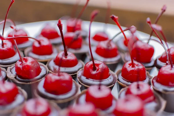 Vit platta med många chokladkoppar täckta med körsbär. — Stockfoto