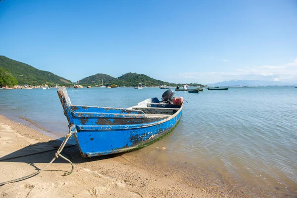 Florianopolis, Brezilya 'da mavi gökyüzü arka planlı bir balıkçı teknesinin ön görüntüsü. Sakin körfez deniziyle kıyıya demir atmış bir tekne. Yaz günlerinde çok güzel manzaralar..
